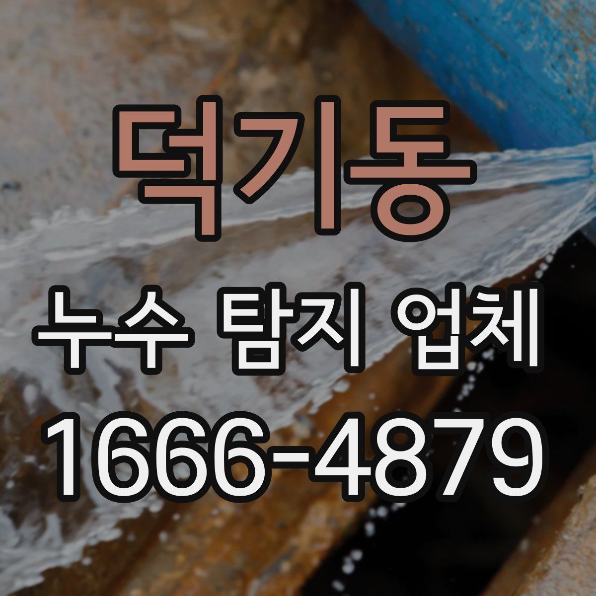 덕기동 누수 탐지 업체