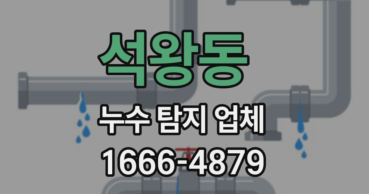 석왕동 누수 탐지 업체