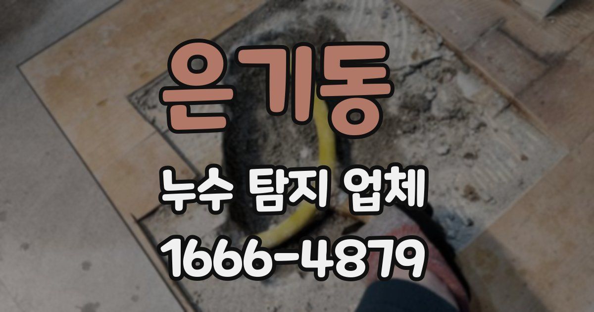 은기동 누수 탐지 업체