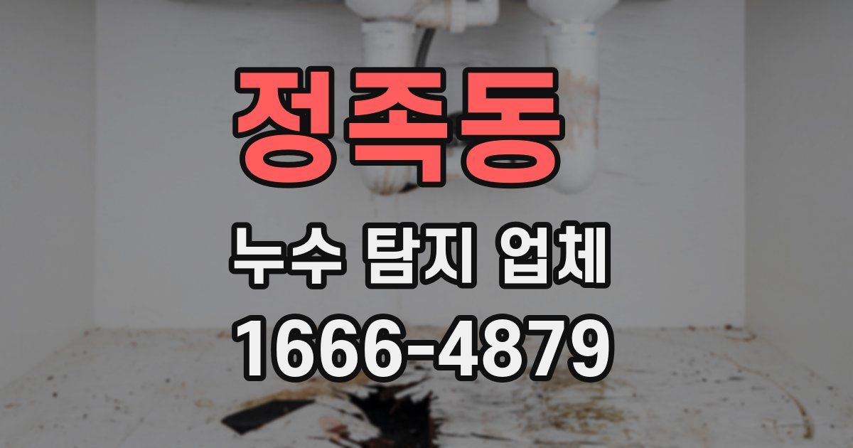 정족동 누수 탐지 업체
