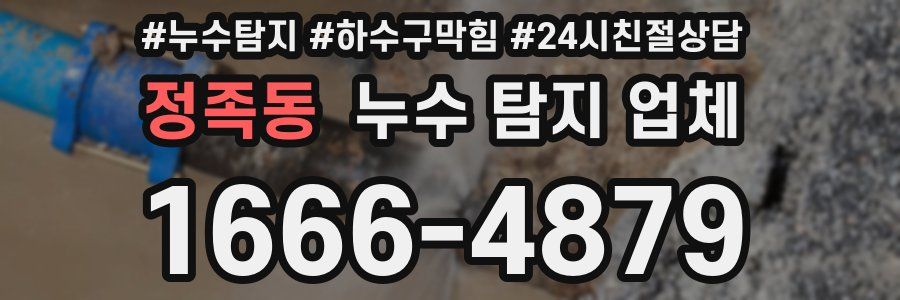 정족동 누수 탐지 업체