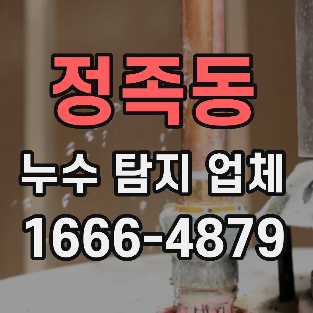 정족동 누수 탐지 업체