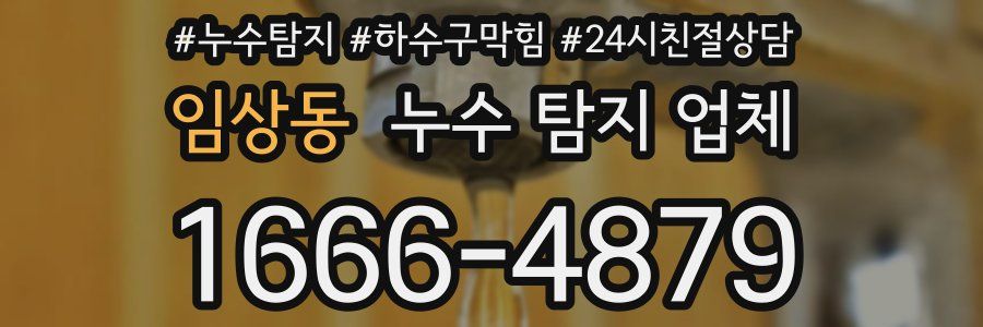 임상동 누수 탐지 업체