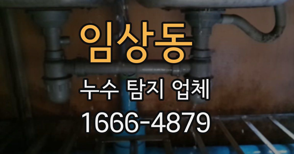 임상동 누수 탐지 업체