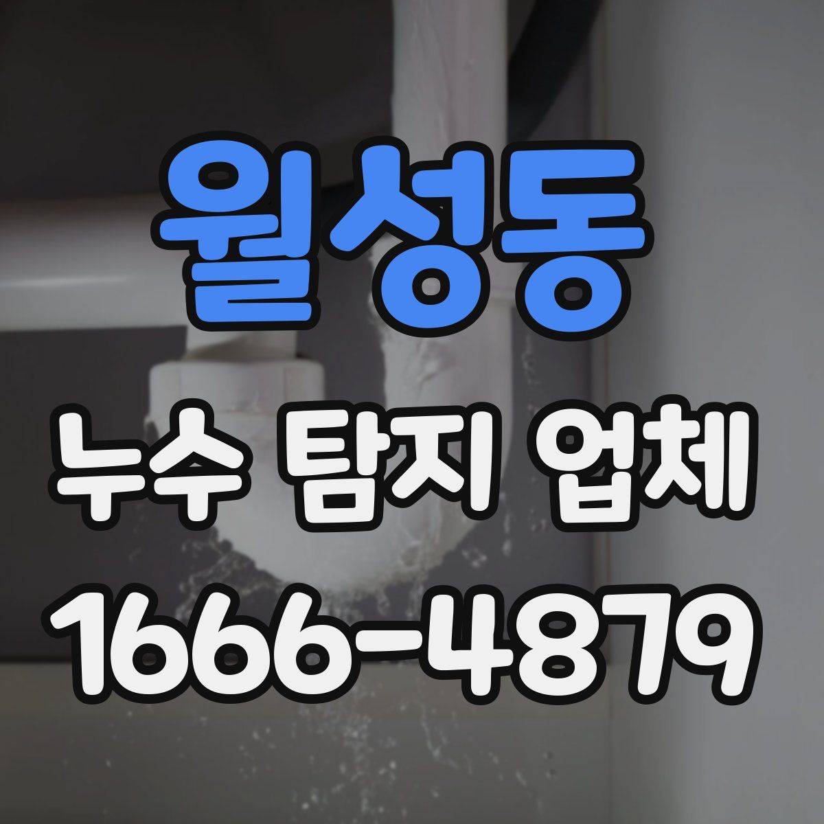 월성동 누수 탐지 업체