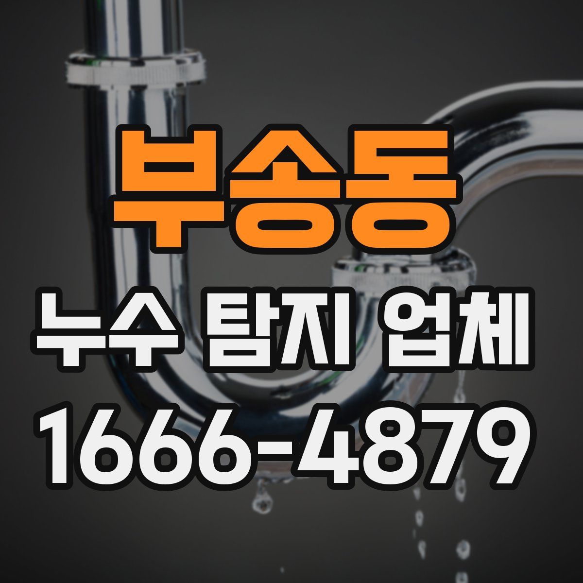 부송동 누수 탐지 업체