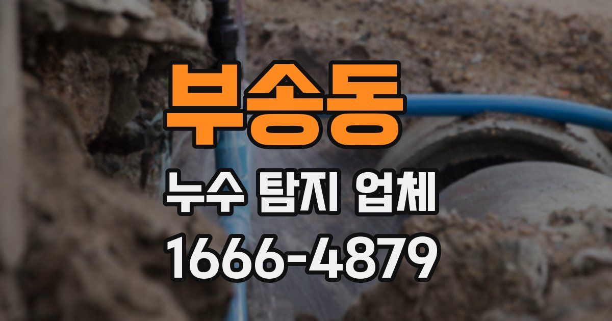 부송동 누수 탐지 업체