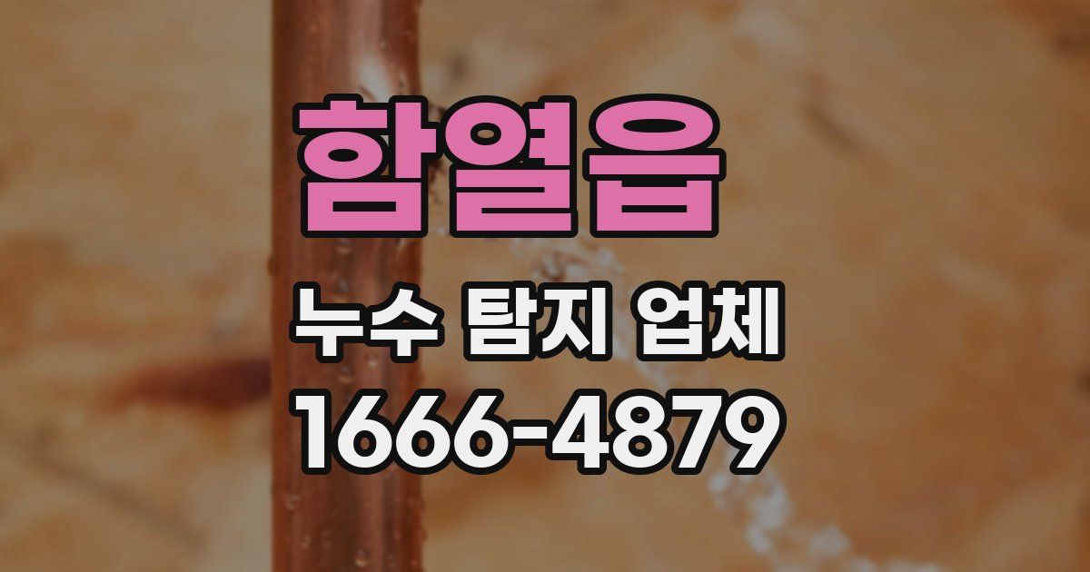 함열읍 누수 탐지 업체