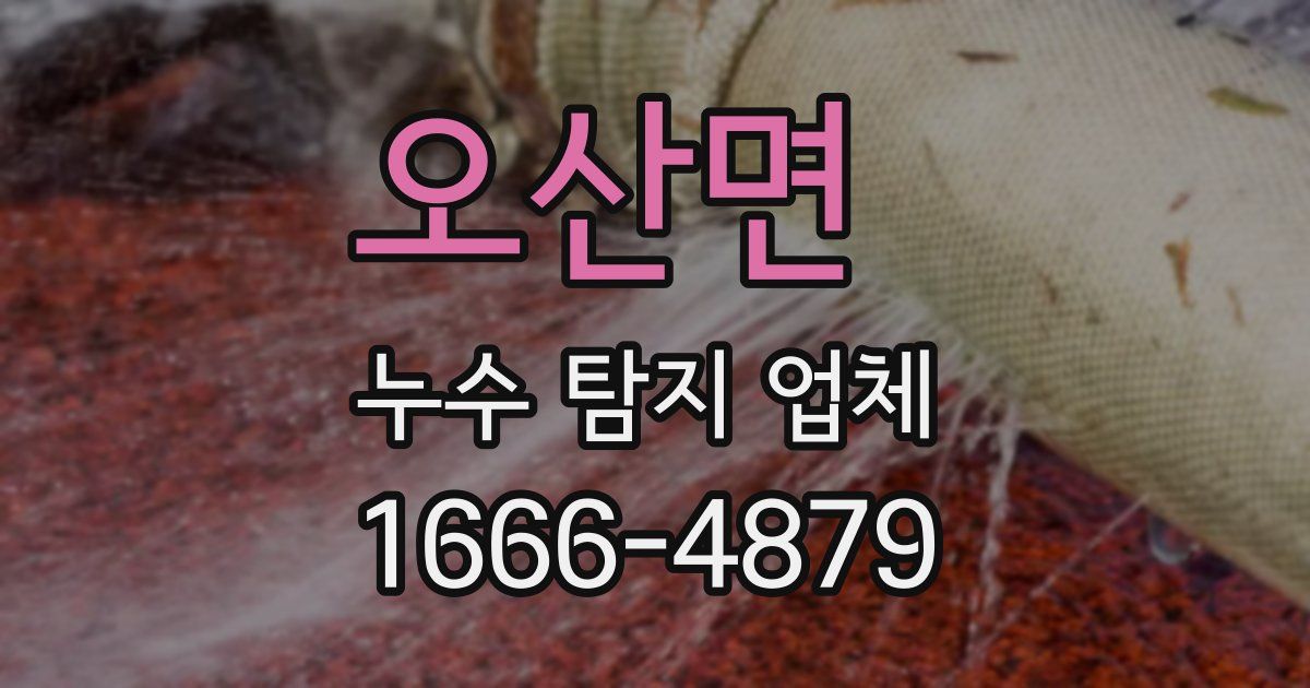 오산면 누수 탐지 업체