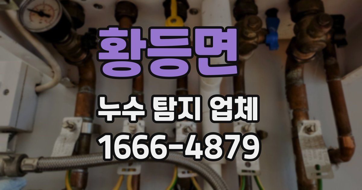 황등면 누수 탐지 업체