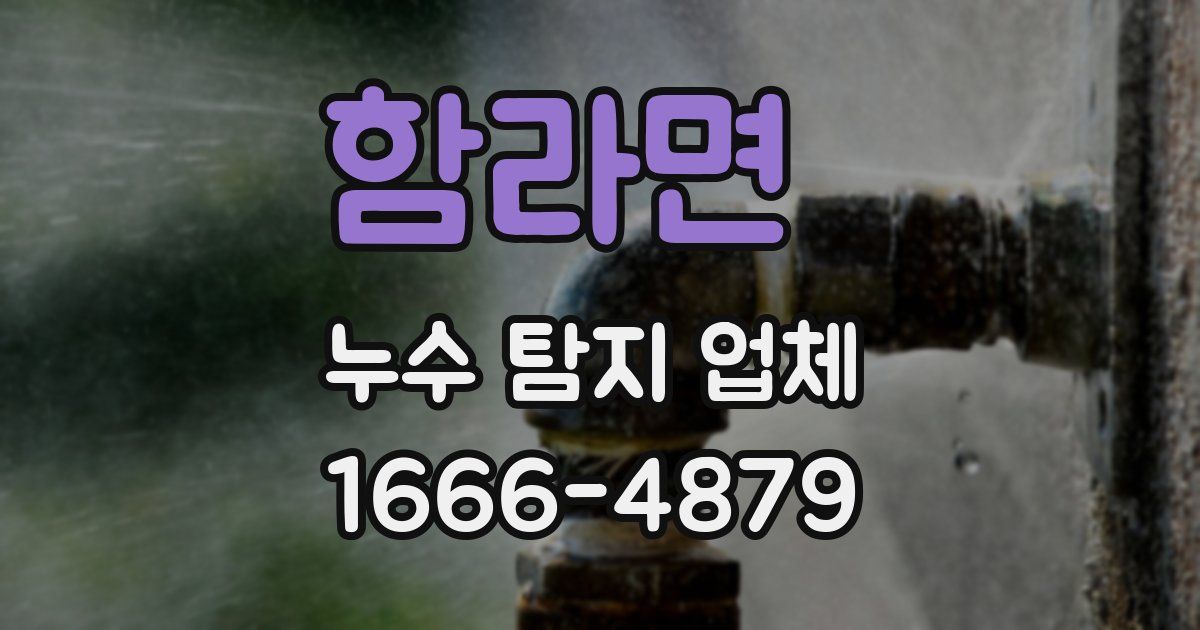 함라면 누수 탐지 업체