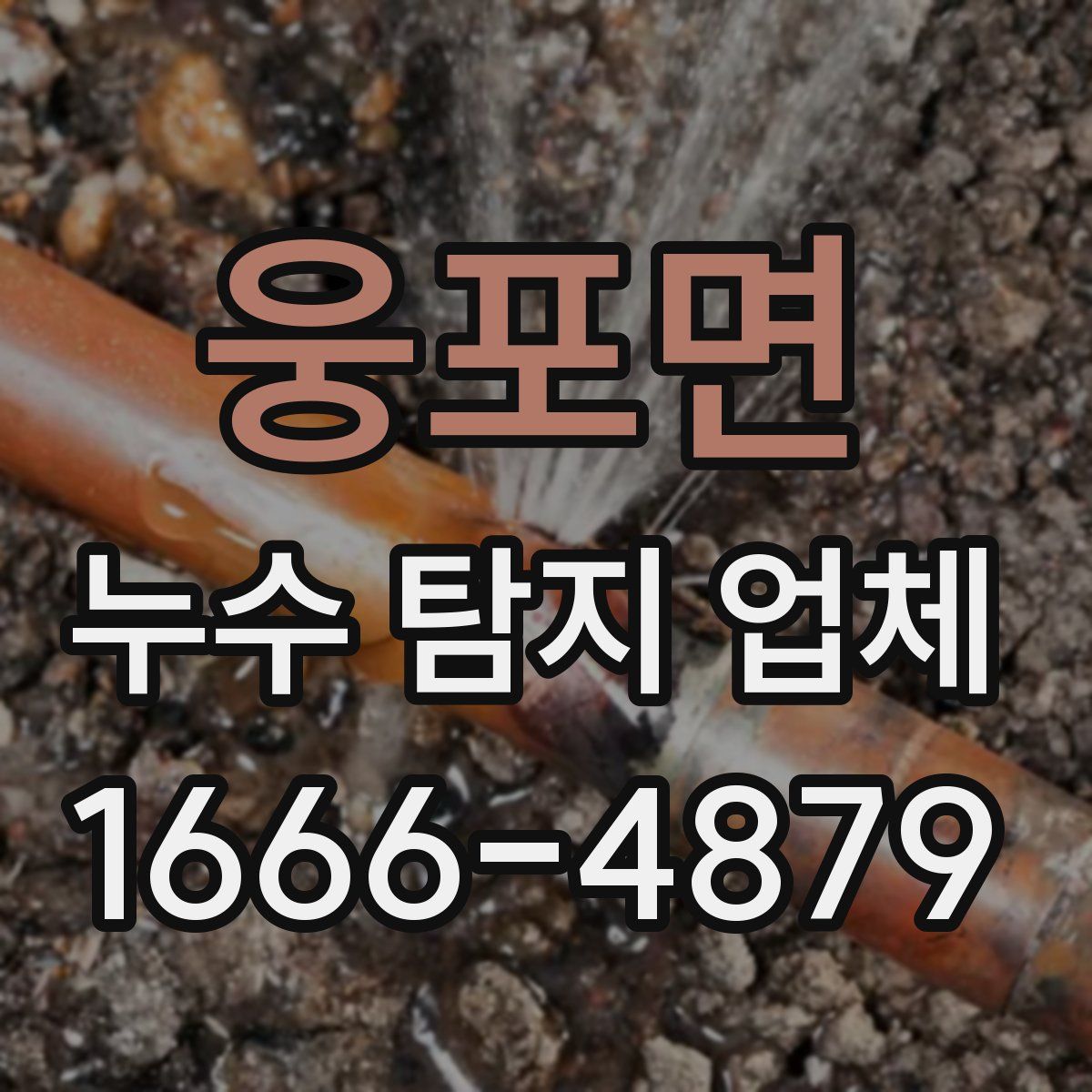 웅포면 누수 탐지 업체