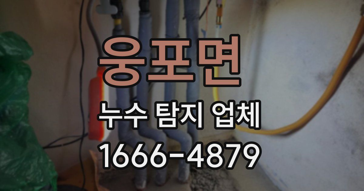웅포면 누수 탐지 업체