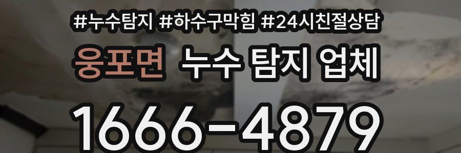 웅포면 누수 탐지 업체