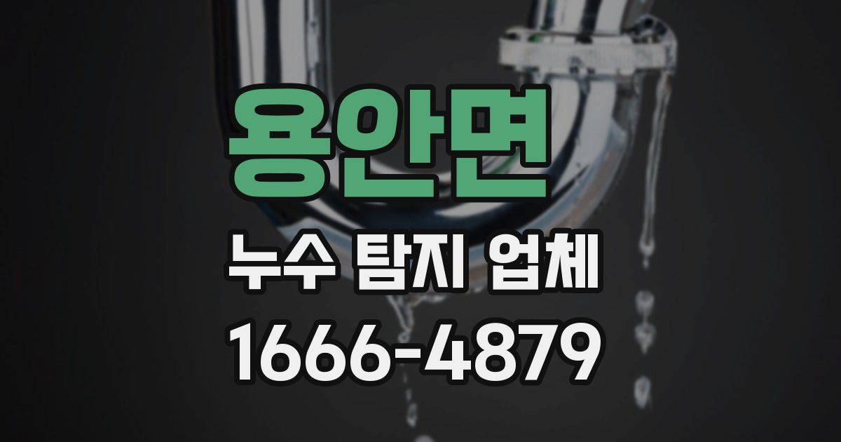 용안면 누수 탐지 업체