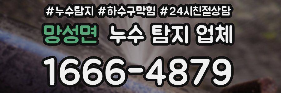 망성면 누수 탐지 업체