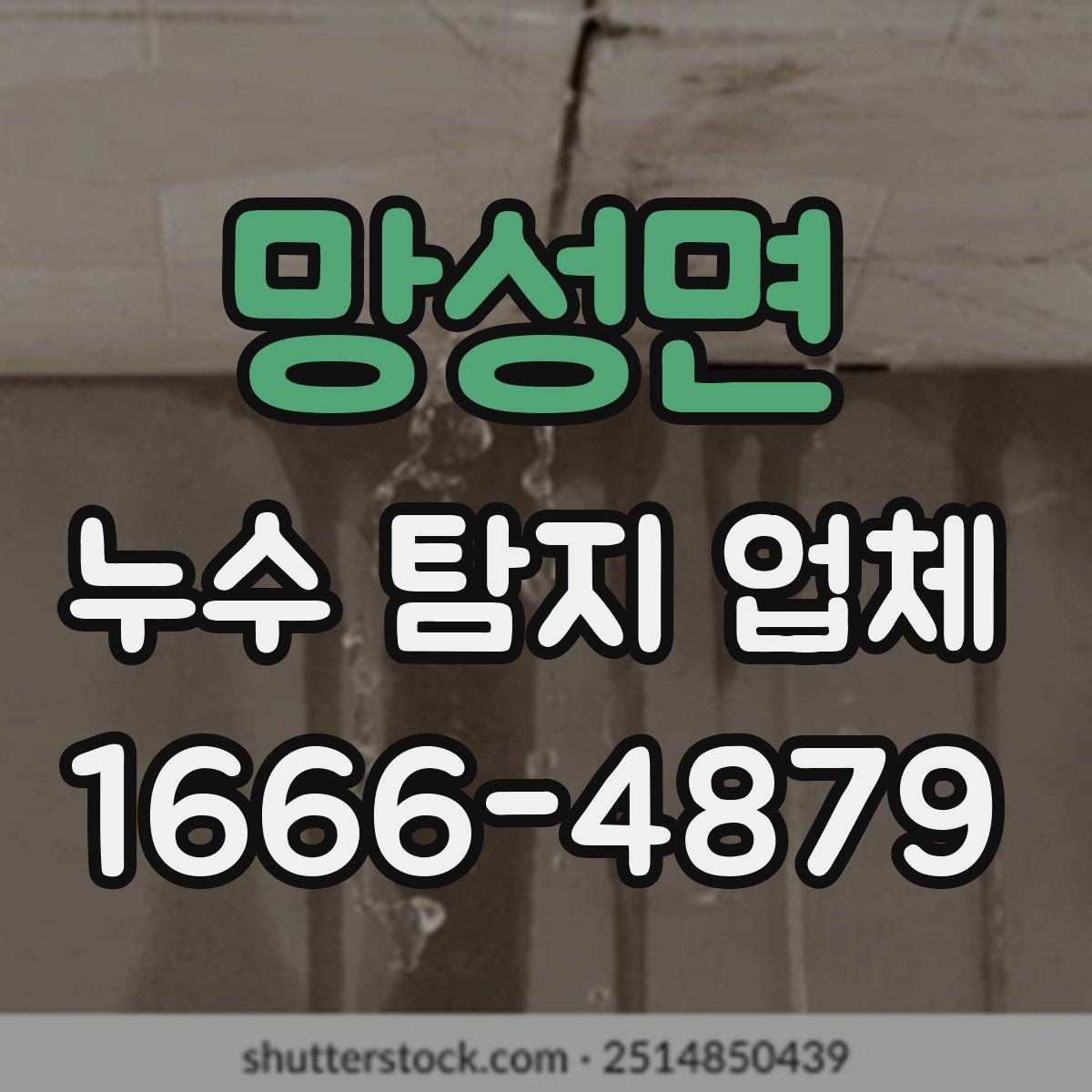 망성면 누수 탐지 업체