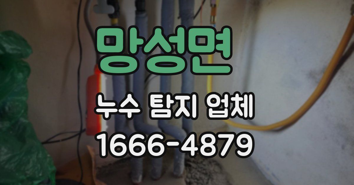 망성면 누수 탐지 업체