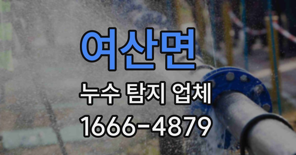 여산면 누수 탐지 업체
