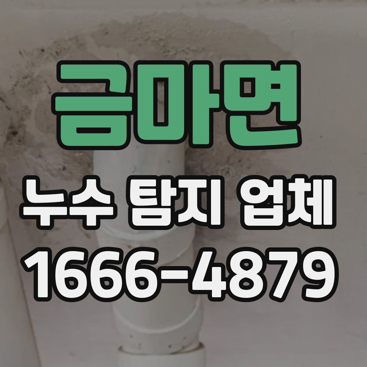 금마면 누수 탐지 업체