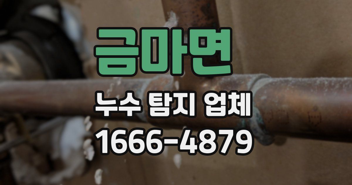 금마면 누수 탐지 업체