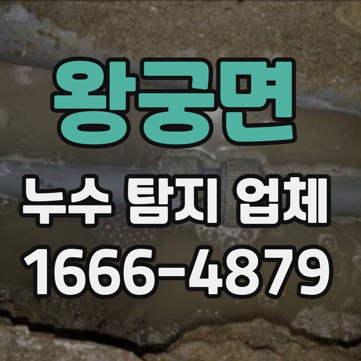 왕궁면 누수 탐지 업체