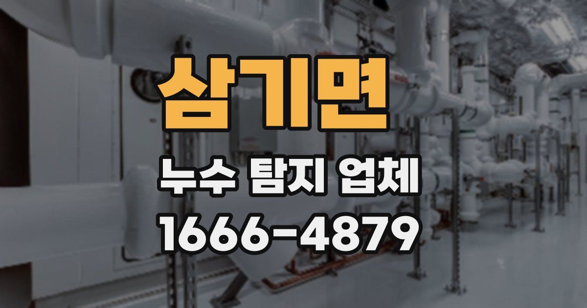 삼기면 누수 탐지 업체