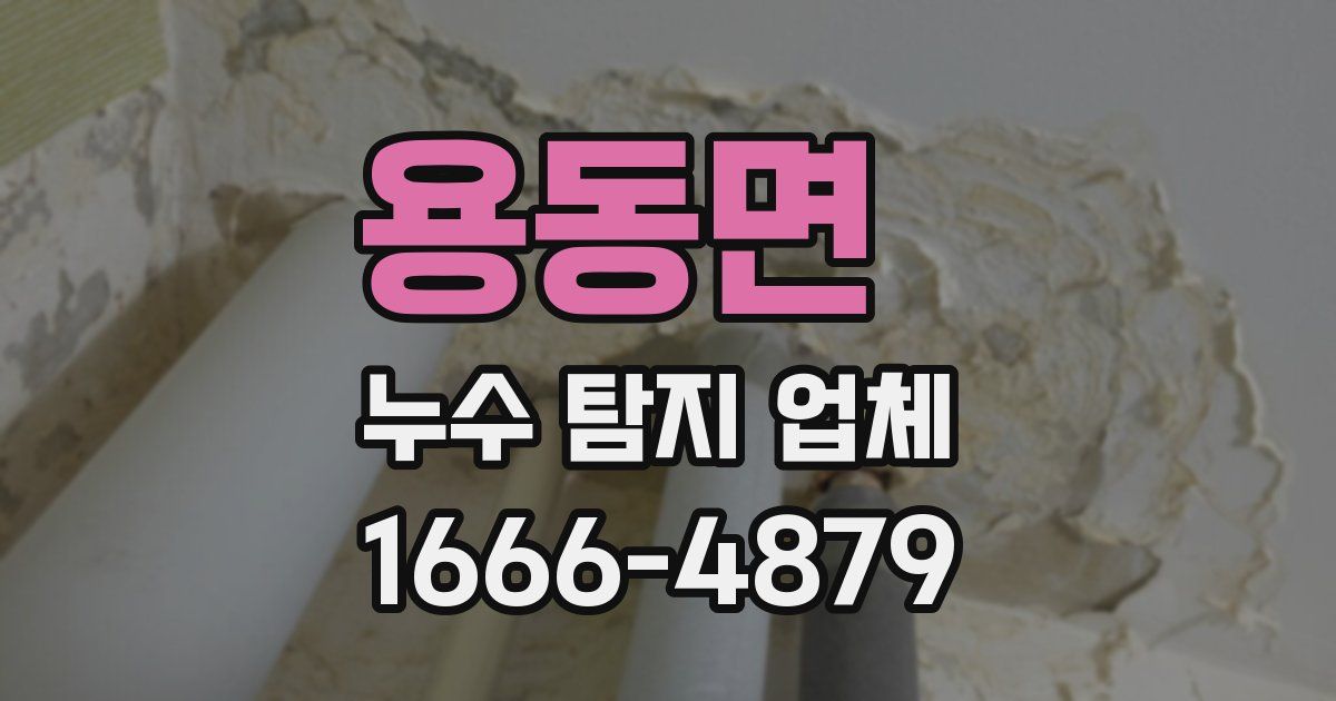 용동면 누수 탐지 업체