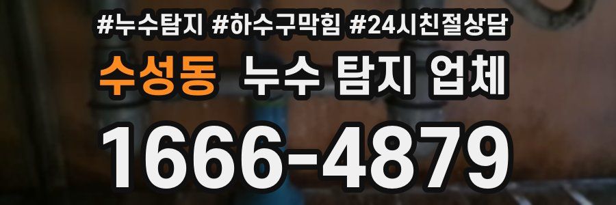 수성동 누수 탐지 업체