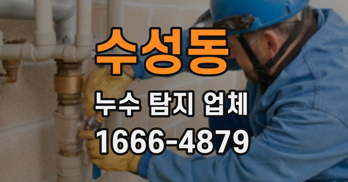 수성동 누수 탐지 업체