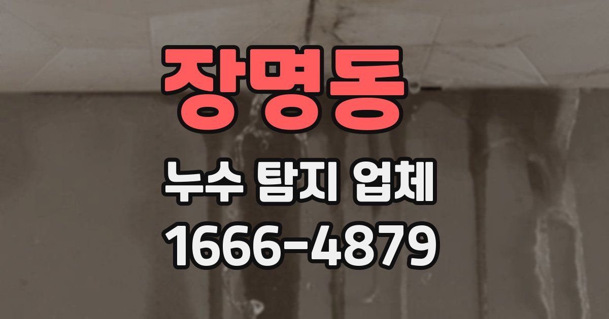 장명동 누수 탐지 업체