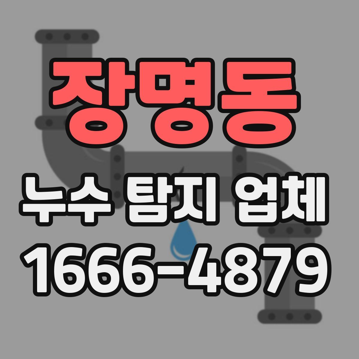 장명동 누수 탐지 업체