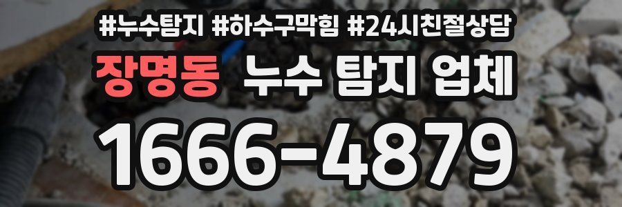 장명동 누수 탐지 업체