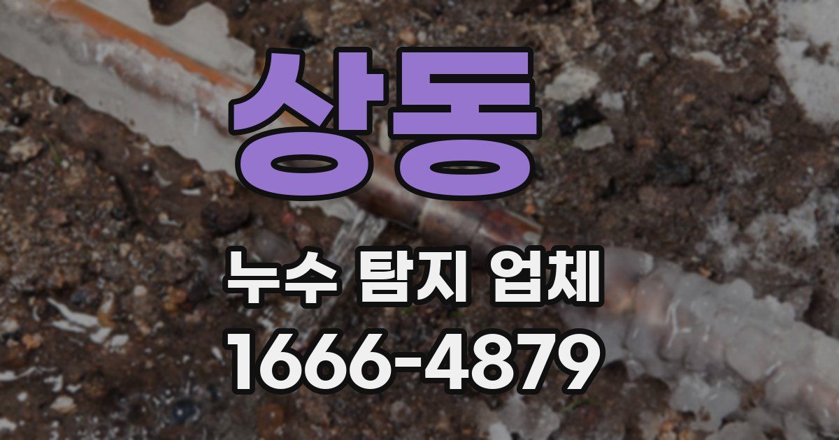 상동 누수 탐지 업체