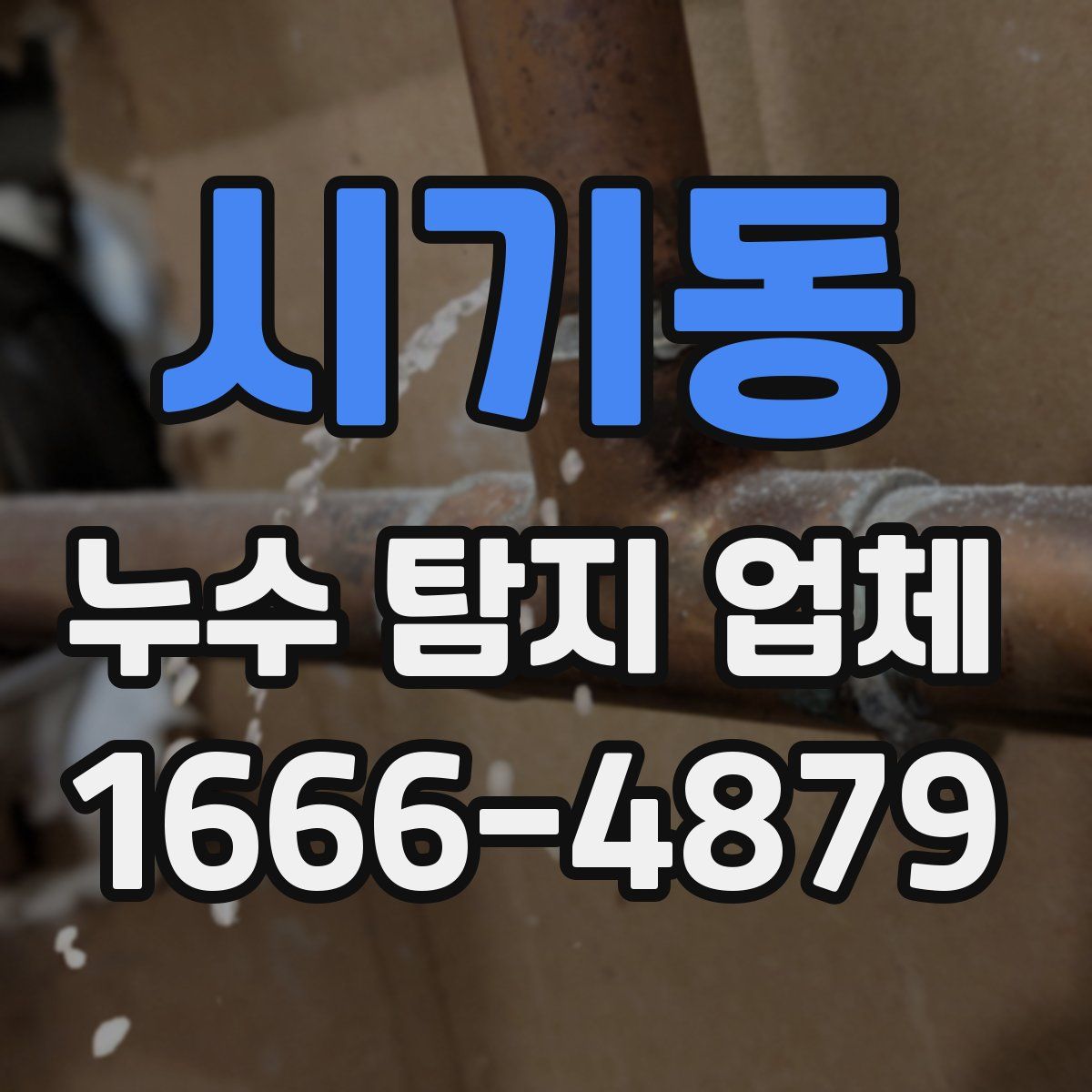 시기동 누수 탐지 업체