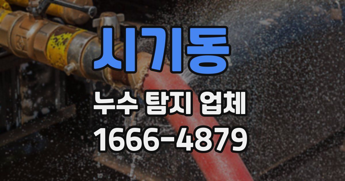 시기동 누수 탐지 업체