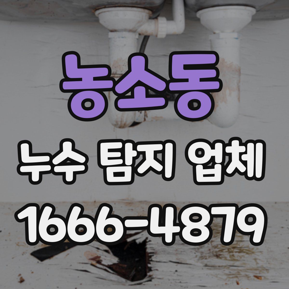농소동 누수 탐지 업체