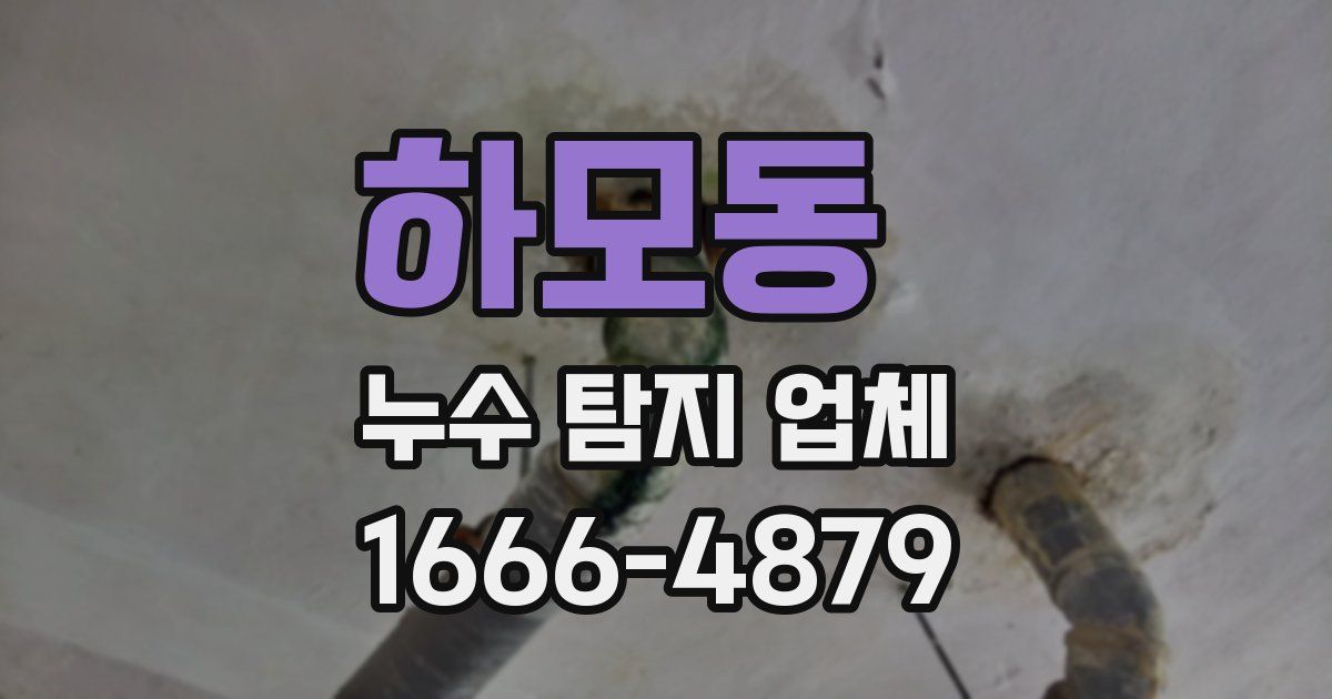 하모동 누수 탐지 업체