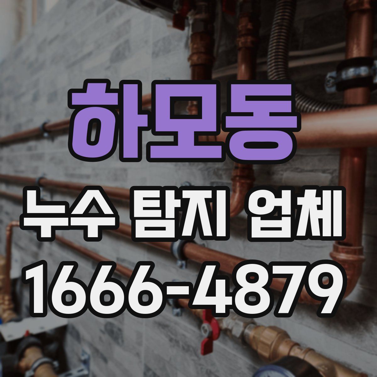 하모동 누수 탐지 업체
