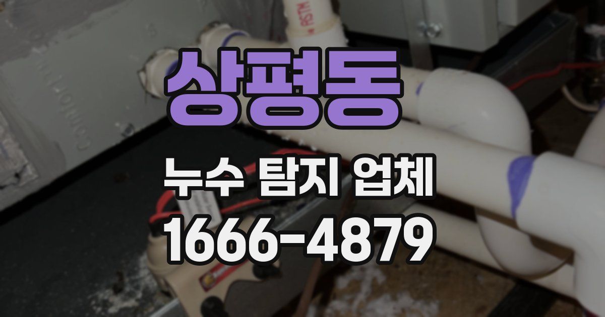 상평동 누수 탐지 업체