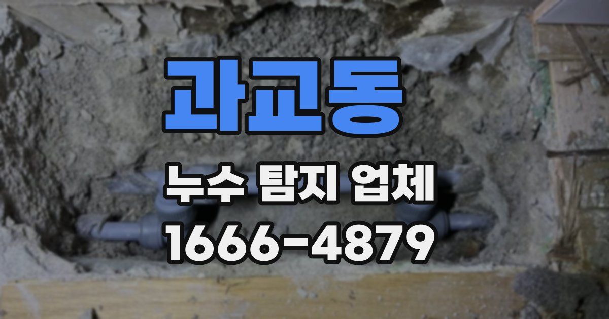 과교동 누수 탐지 업체