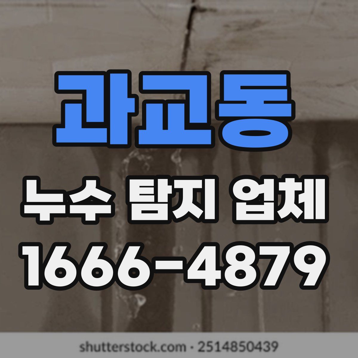 과교동 누수 탐지 업체