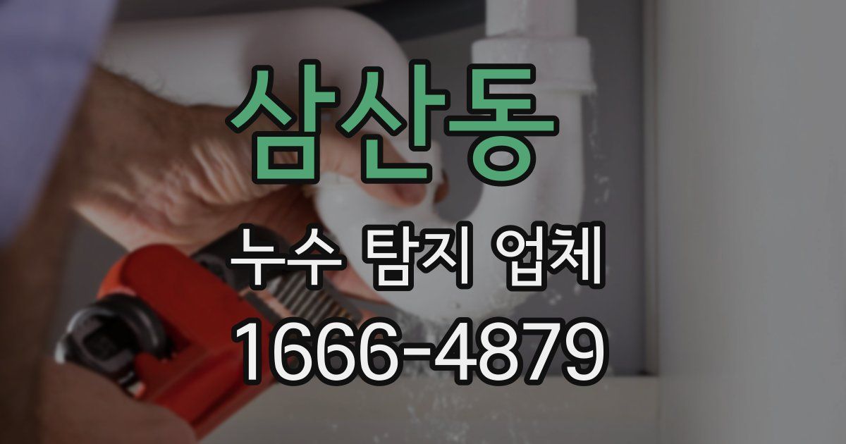 삼산동 누수 탐지 업체