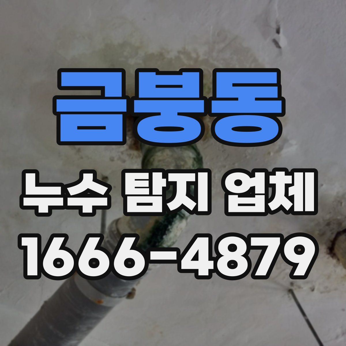 금붕동 누수 탐지 업체