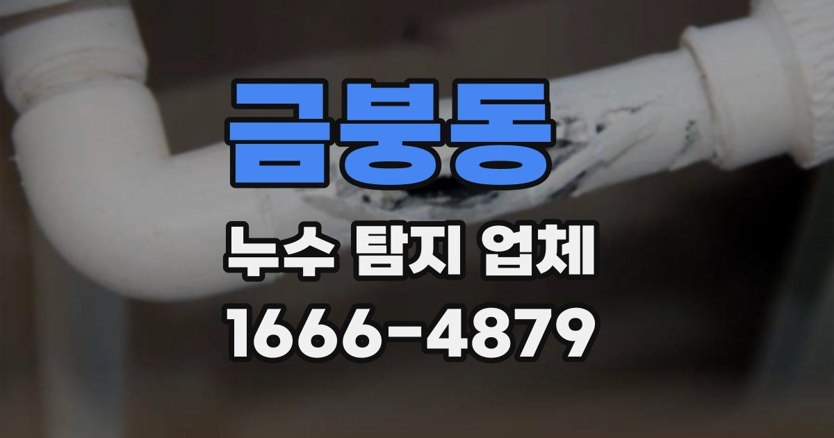 금붕동 누수 탐지 업체