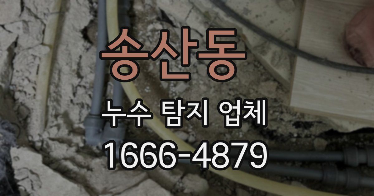송산동 누수 탐지 업체
