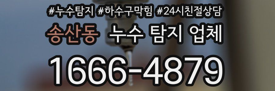 송산동 누수 탐지 업체