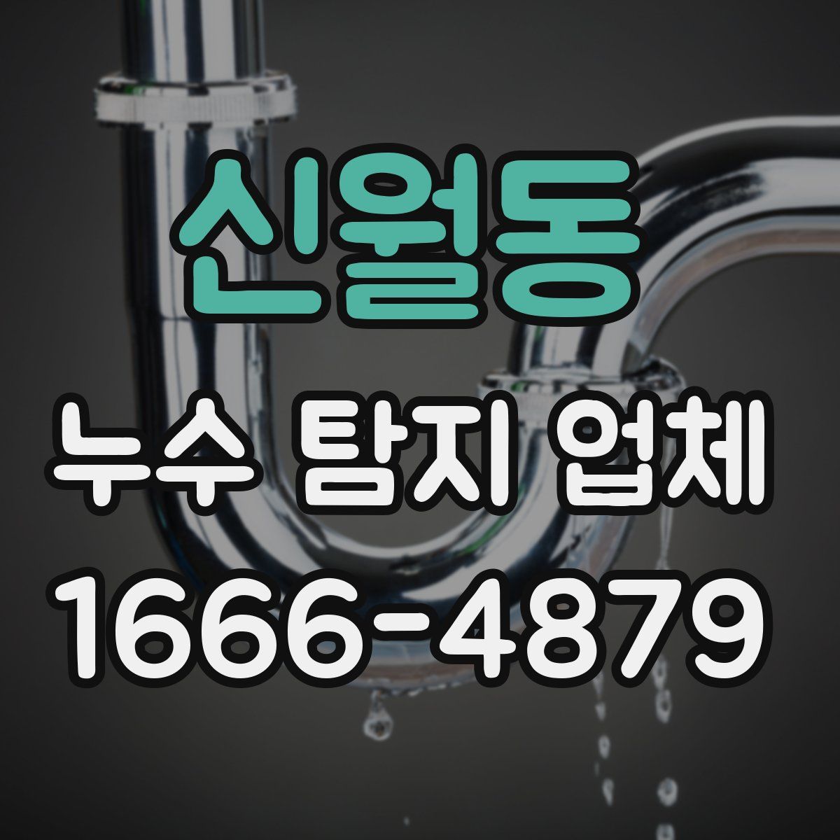 신월동 누수 탐지 업체