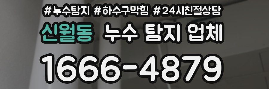 신월동 누수 탐지 업체