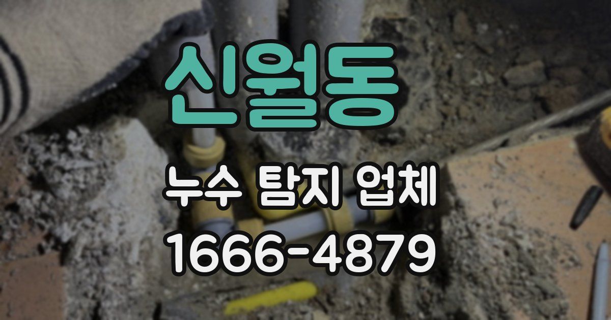 신월동 누수 탐지 업체